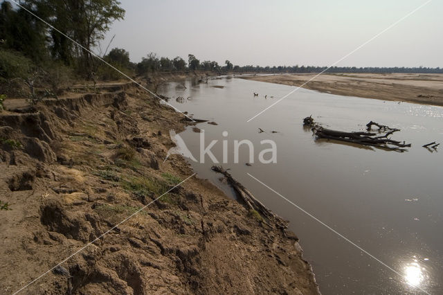 South Luangwa National Park