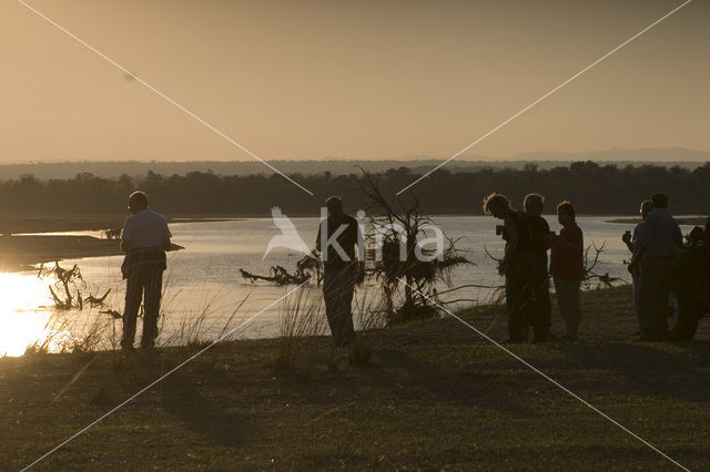 South Luangwa National Park