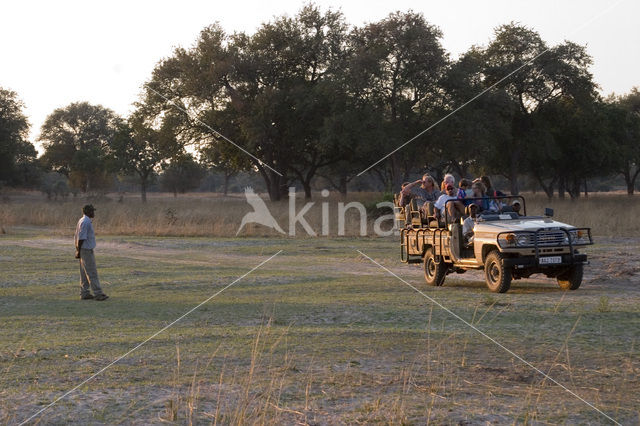 South Luangwa National Park