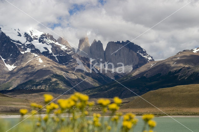 Torres del Paine National Park