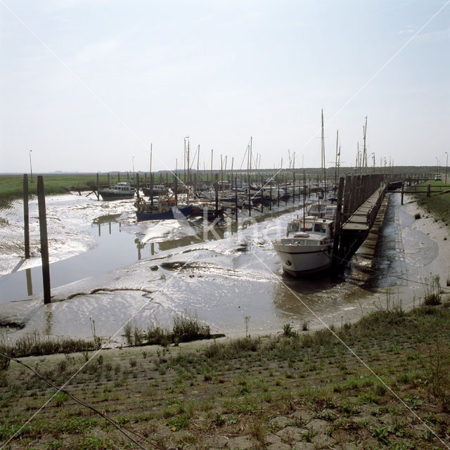 Verdronken Land van Saeftinghe