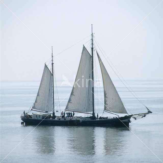 Waddensea