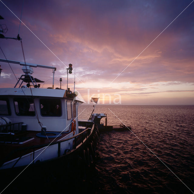 Waddensea