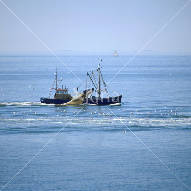 Waddensea