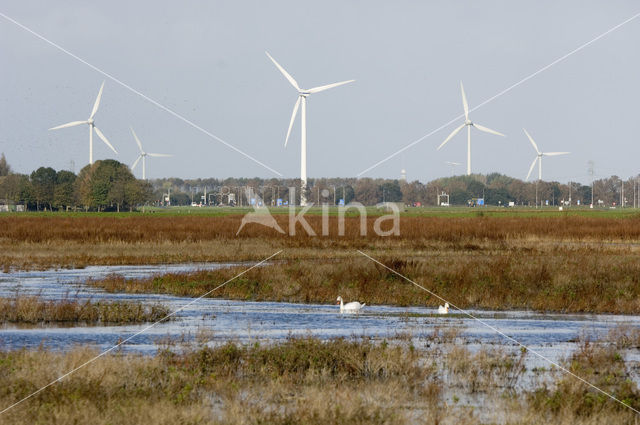 Harderbroek