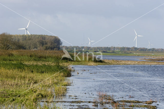 Harderbroek