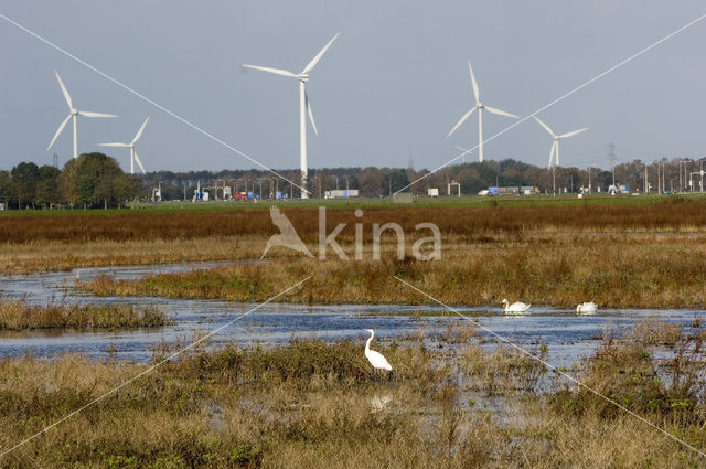 Harderbroek