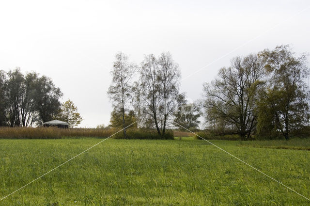 Harderbroek