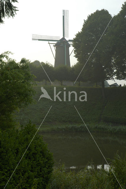 Liniedijk