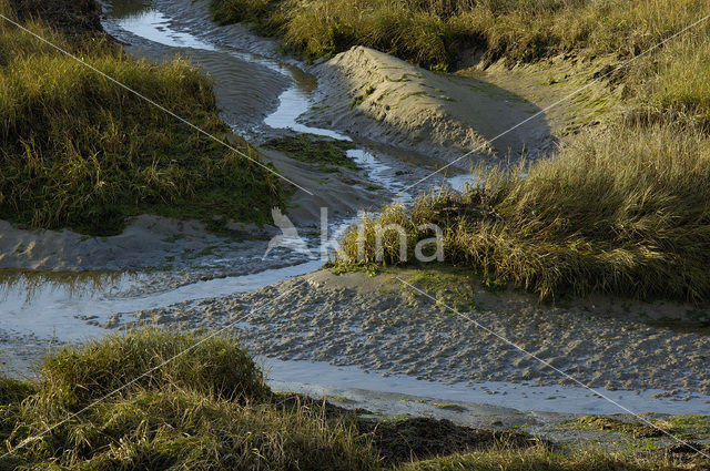 National Park Oosterschelde