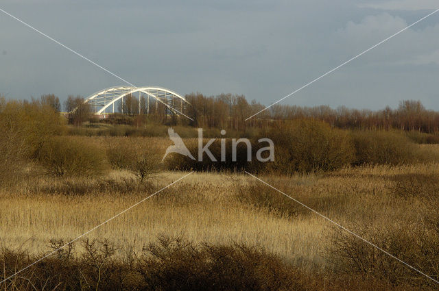 Nationaal Park Oosterschelde