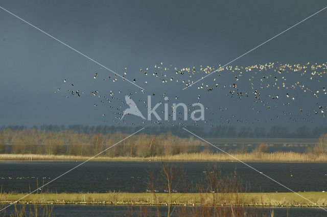 Nationaal Park Oosterschelde