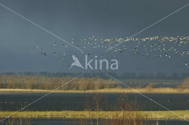 Nationaal Park Oosterschelde