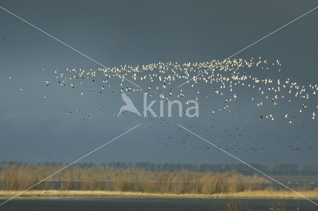 Nationaal Park Oosterschelde