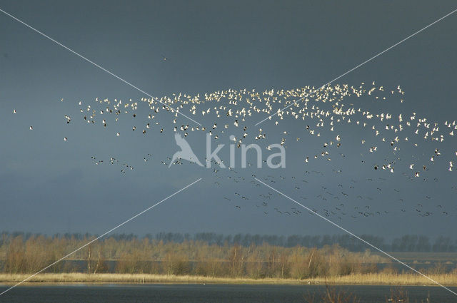 Nationaal Park Oosterschelde