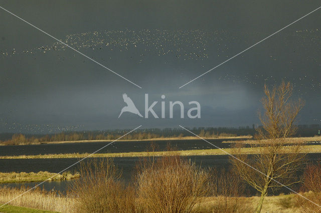 Nationaal Park Oosterschelde