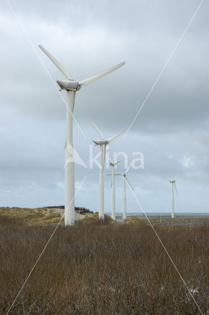 Nationaal Park Oosterschelde