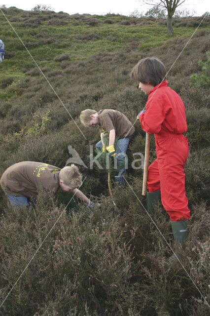 Nationaal Park Veluwezoom