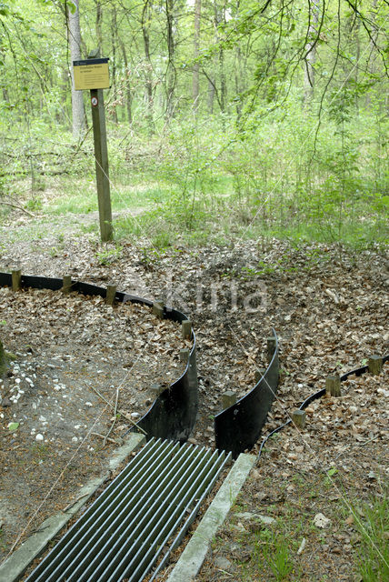 Oisterwijkse Bossen en Vennen