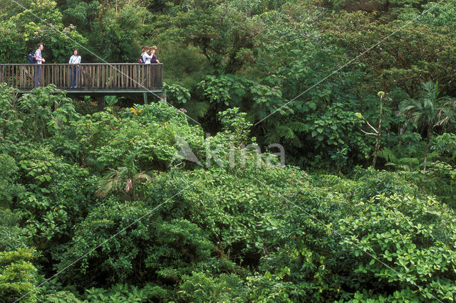 Parque Nacional Monteverde