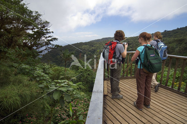 Parque Nacional Monteverde