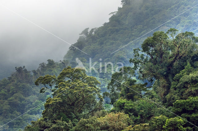Parque Nacional Tapanti