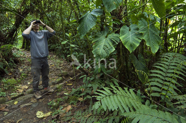 Parque Nacional Tapanti