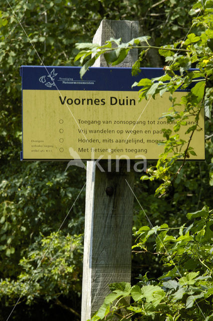 Voornes Duin