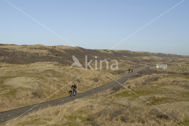 Amsterdamse waterleidingduinen