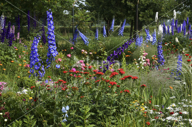 Garten Stenkamp
