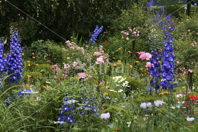 Garten Stenkamp
