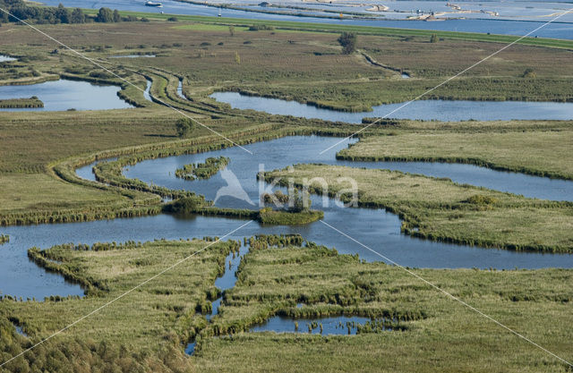 Harderbroek