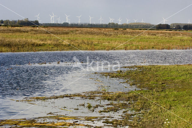 Harderbroek
