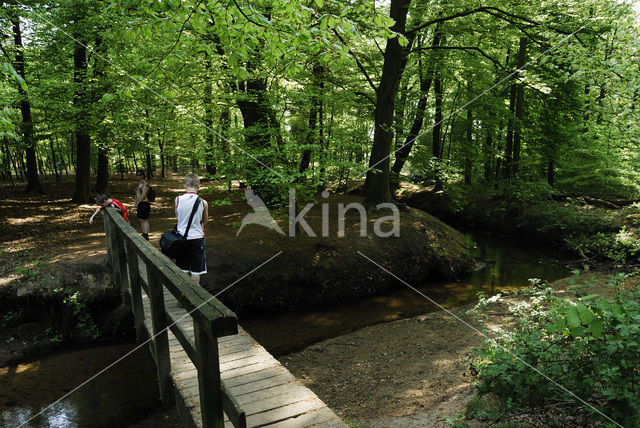 Landgoed Bönnink