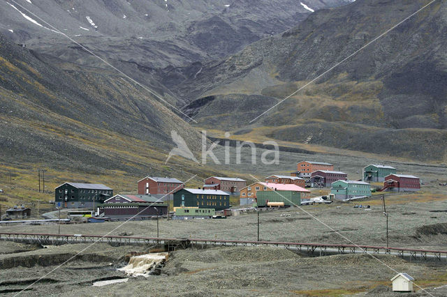 Larsbreen