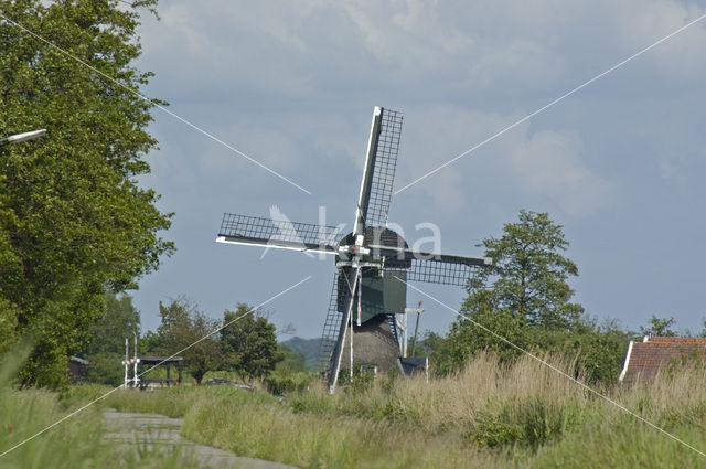 Molen De Trouwe Waghter