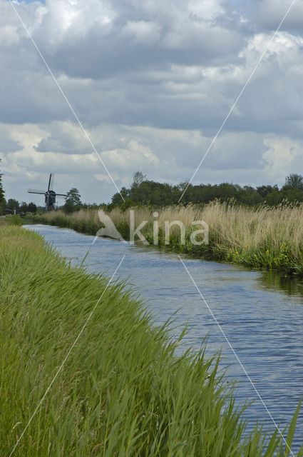 Molen De Trouwe Waghter