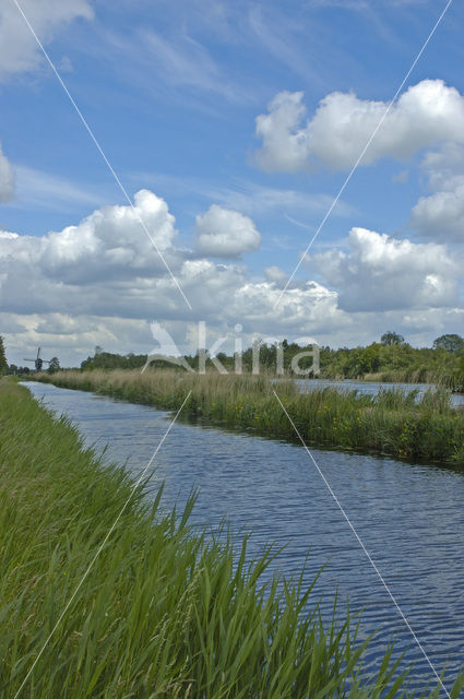 Molen De Trouwe Waghter