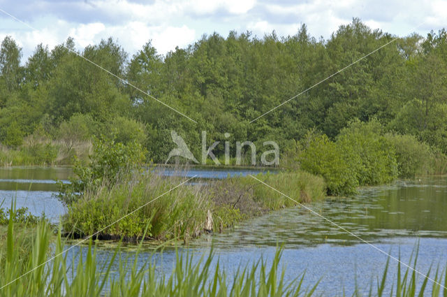 Molenpolder