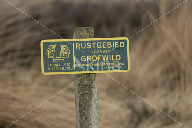 Nationaal Park De Hoge Veluwe