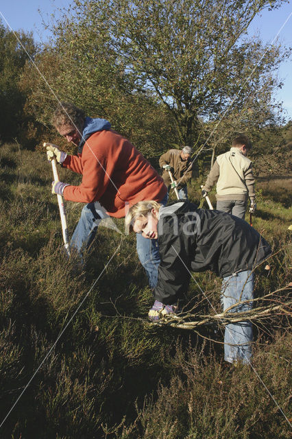 Nationaal Park Veluwezoom