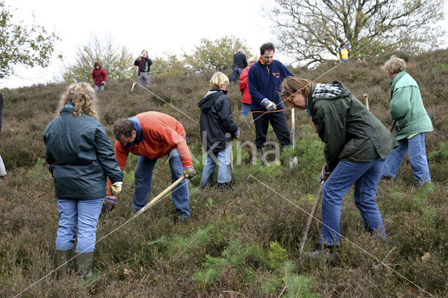 Nationaal Park Veluwezoom