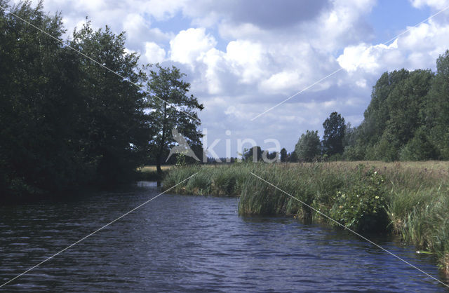 Nieuwkoopse Plassen