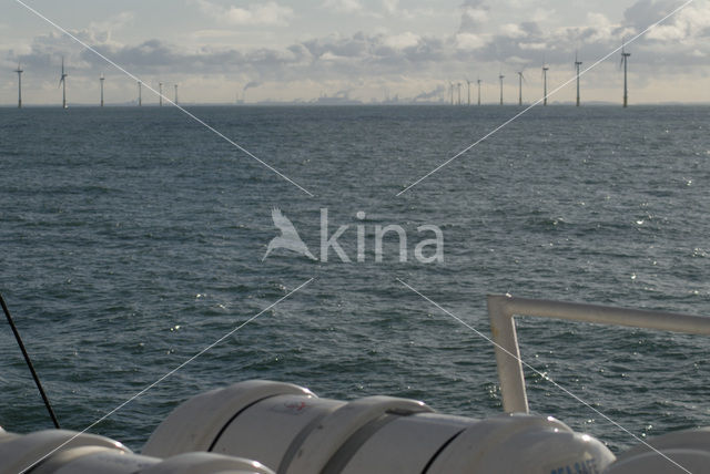 Offshore Windpark Egmond aan Zee OWEZ