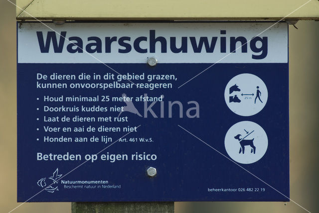 Schotse Hooglander