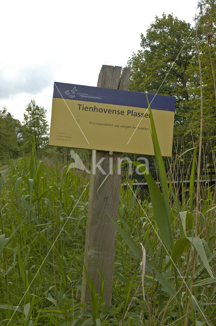 Tienhovense plassen