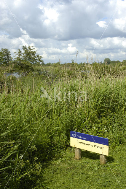 Tienhovense plassen