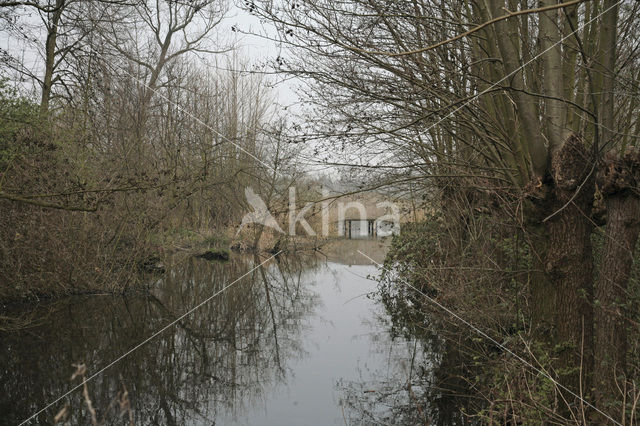 Ackerdijkse Plassen