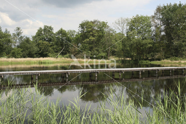 Beekbergerwoud