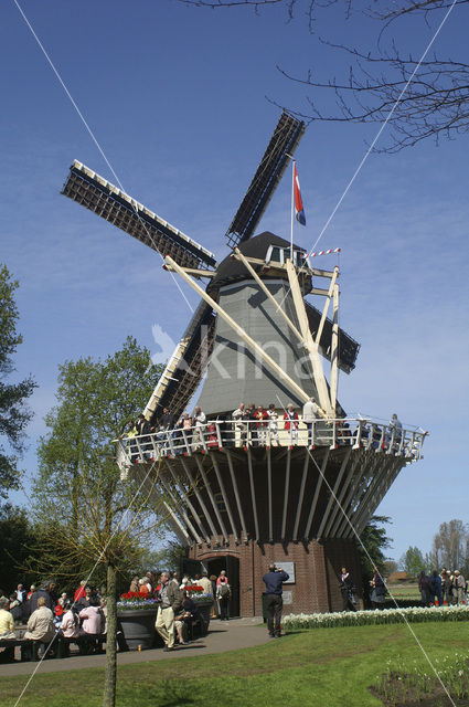 Keukenhof